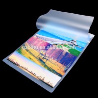 matt/glossy PET release film for heat transfer